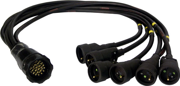 Alternative text - CESPCF